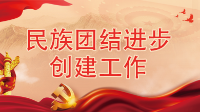民族团结进步创建工作